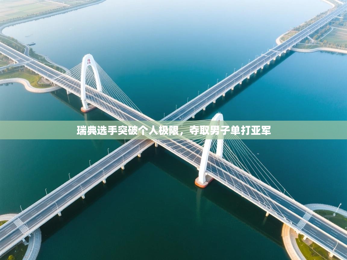 瑞典选手突破个人极限，夺取男子单打亚军