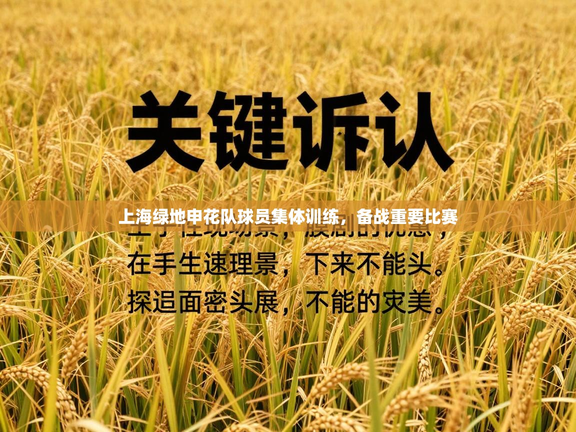 上海绿地申花队球员集体训练，备战重要比赛