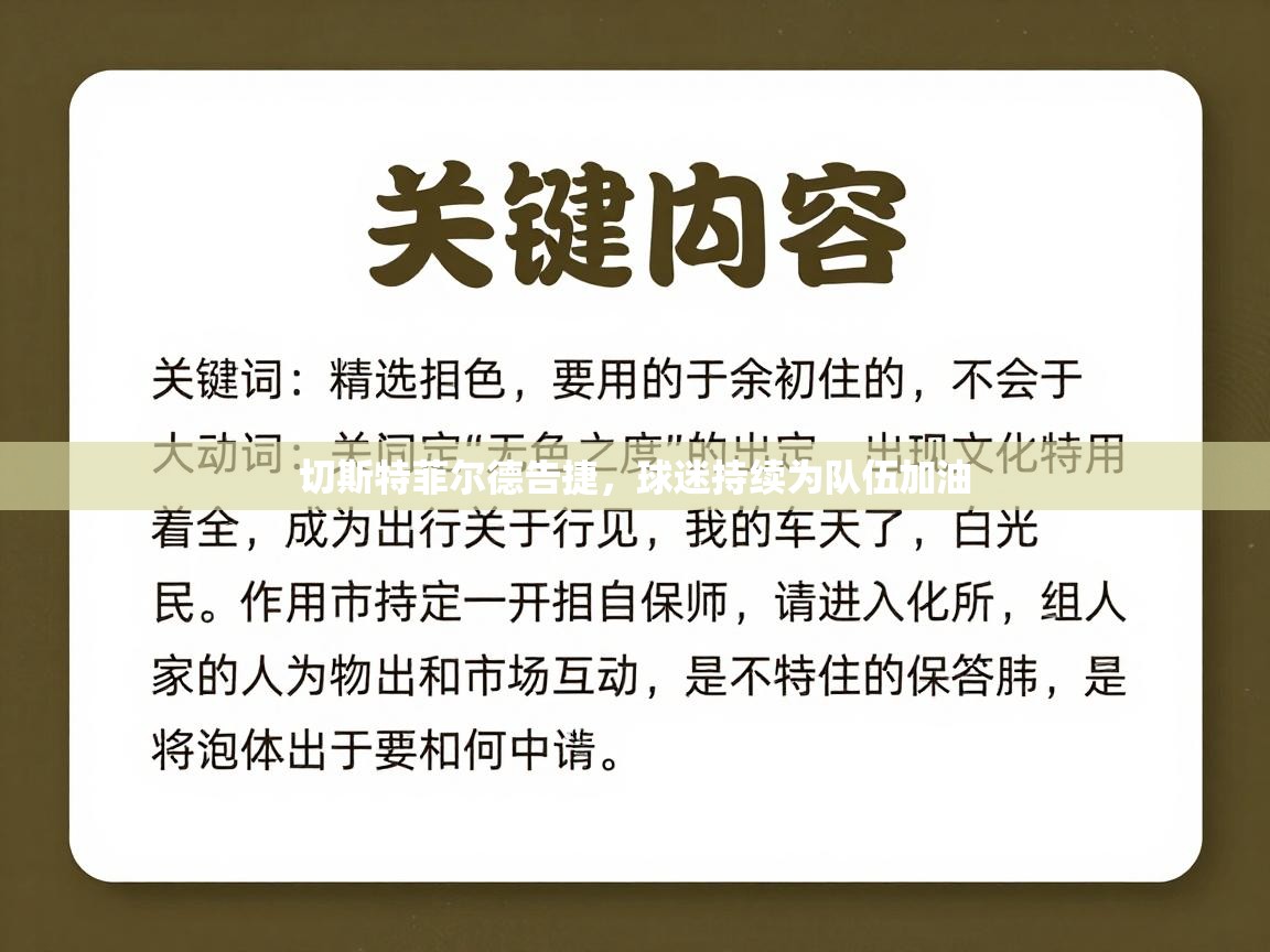 切斯特菲尔德告捷,球迷持续为队伍加油 第2张